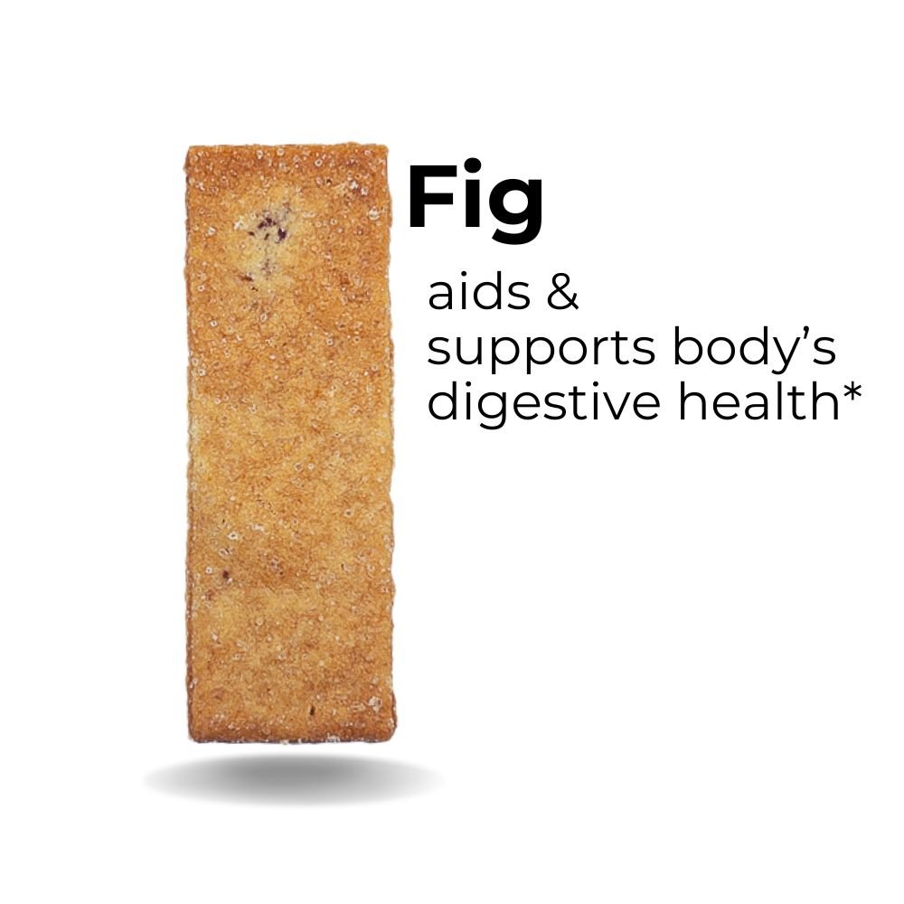 Fig - The Panza