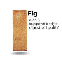 Fig - The Panza