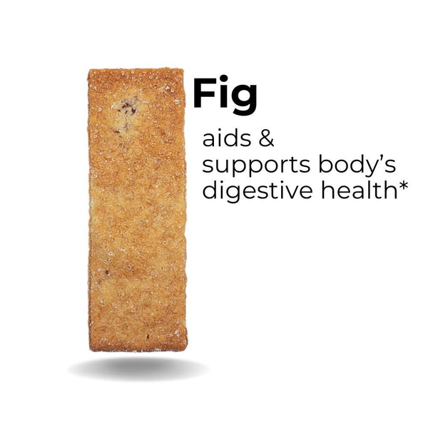 Fig - The Panza