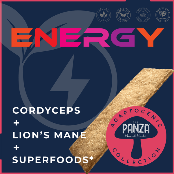 SAVE 15% The Panza Adaptogenic Vibes 4 - Pouch Bundle - The Panza - The Panza - Gourmet Cookie Snack